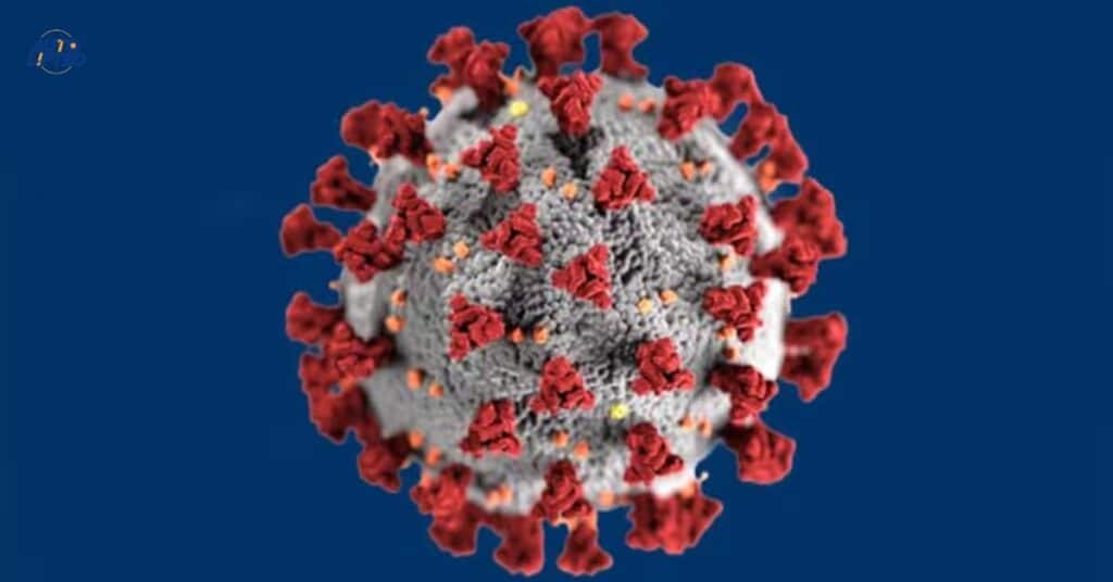 How Long Does Coronavirus Survive on Surfaces?